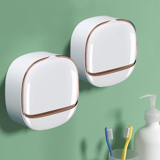Wall-Mounted Luxury Soap Holder (Random Color)