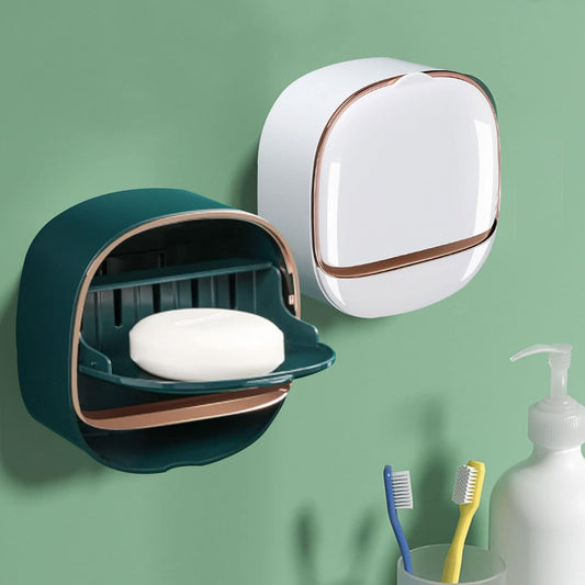 Wall-Mounted Luxury Soap Holder (Random Color)