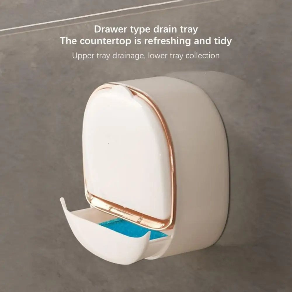 Wall-Mounted Luxury Soap Holder (Random Color)