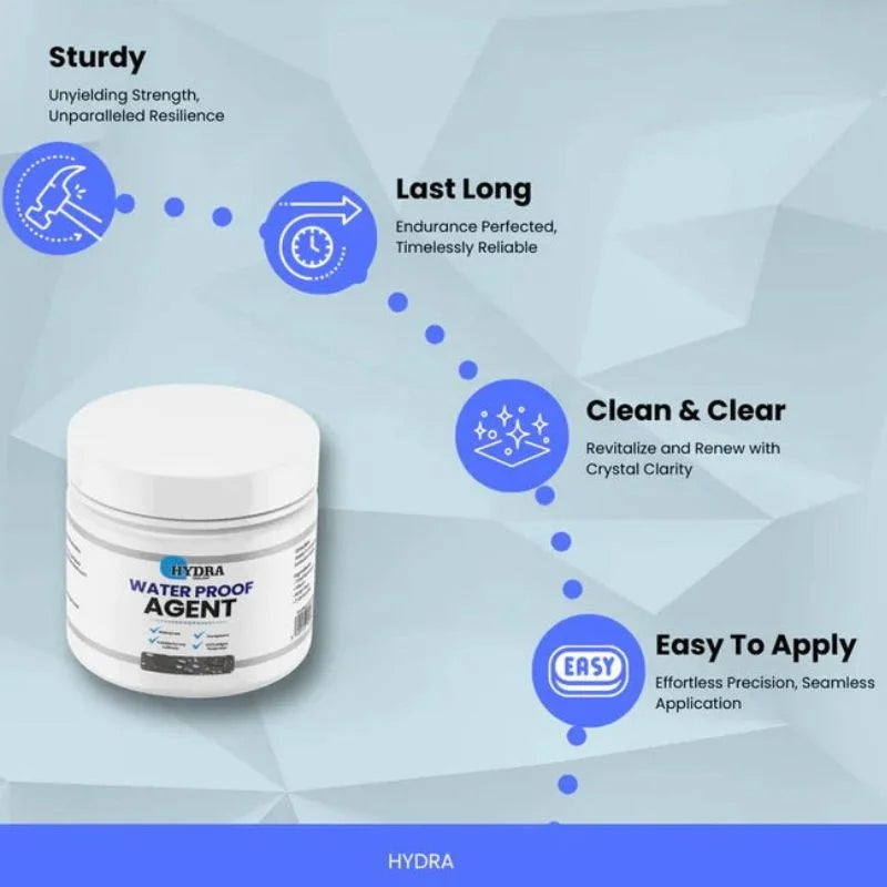 Hydra Waterproof Agent – Instant Leak Sealer for Walls, Floors, Roofs & Pipes | Clear, Paintable Sealant with Brush (250g)
