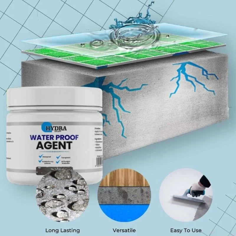 Hydra Waterproof Agent – Instant Leak Sealer for Walls, Floors, Roofs & Pipes | Clear, Paintable Sealant with Brush (250g)